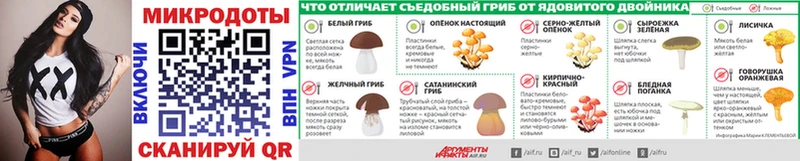 Псилоцибиновые грибы мухоморы  купить   кракен рабочий сайт  Медвежьегорск 